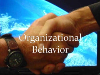 Organizational Behavior  