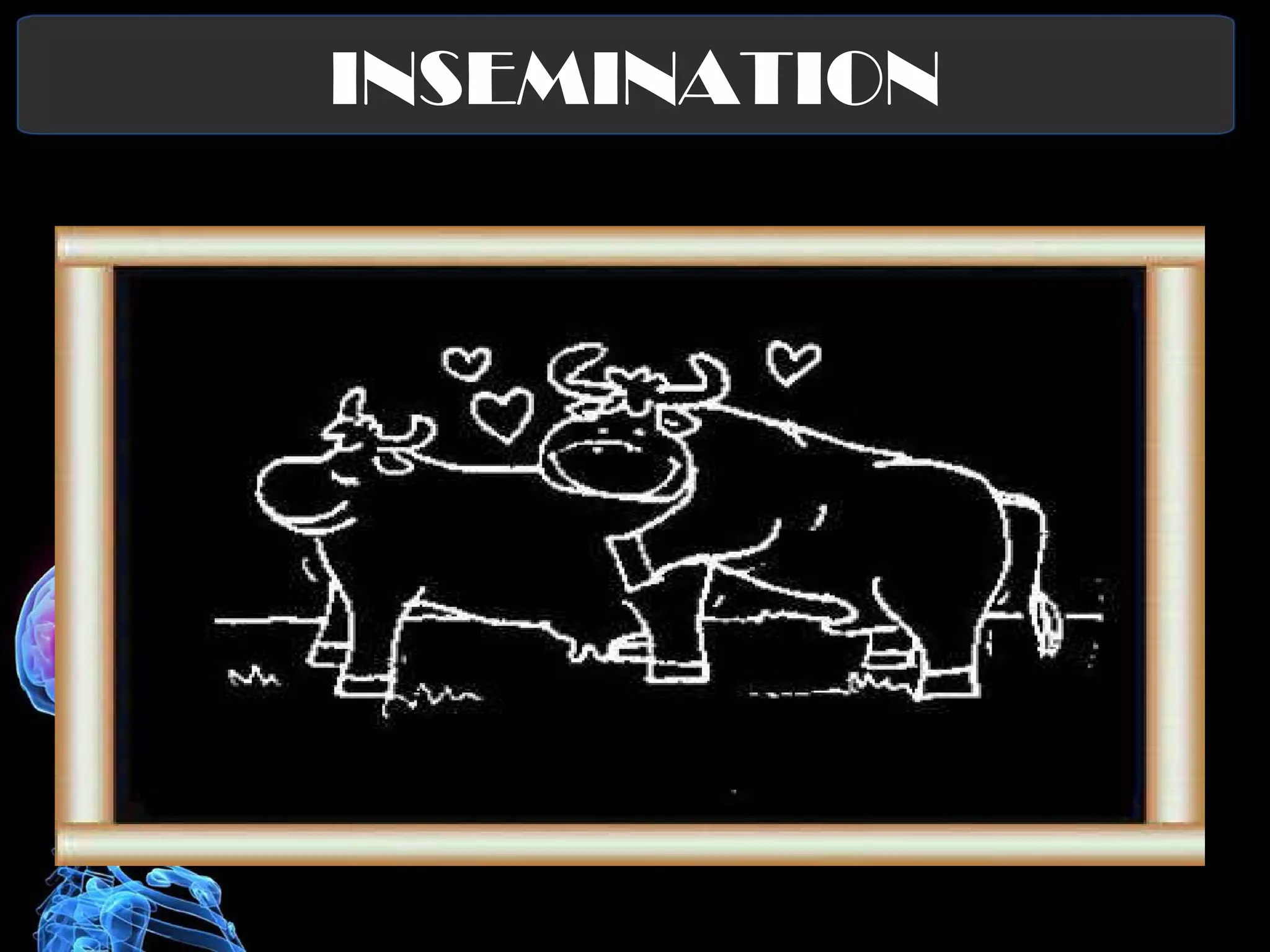 INSEMINATION The deposition of sperm cell in the female genital tract that occurs during sexual intercourse. The sperm swims so fast that within 90 seconds it reaches the uterus and in the fallopian tube within 5 minutes after deposition. 