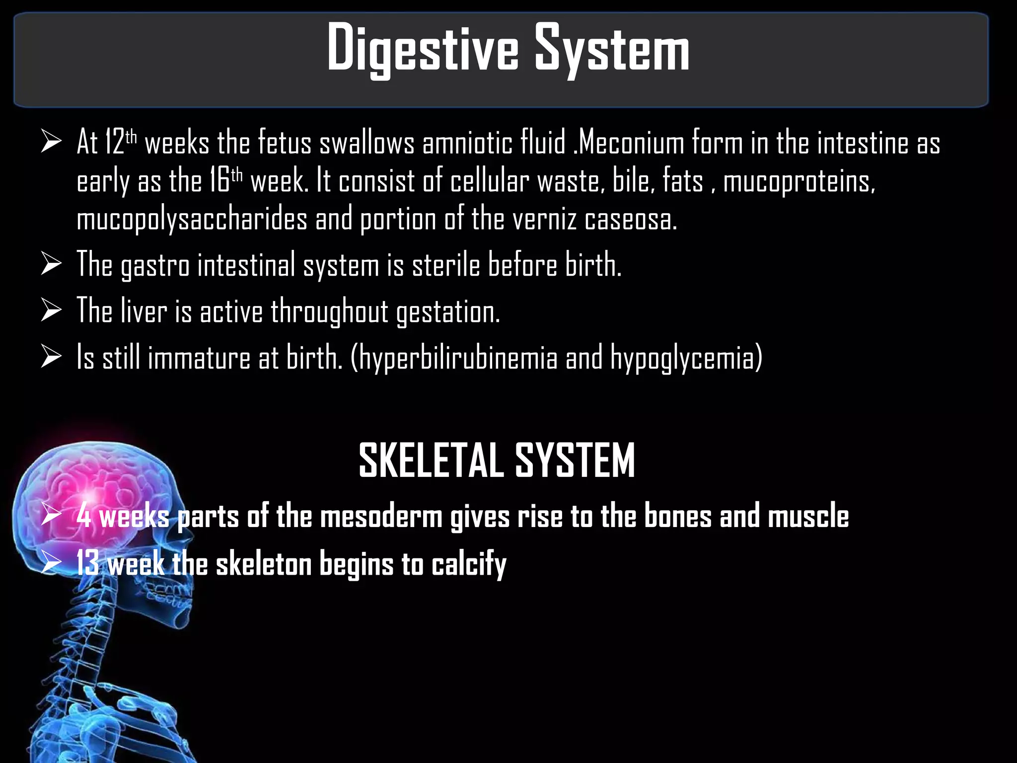 Digestive System At 12 th  weeks the fetus swallows amniotic fluid .Meconium form in the intestine as early as the 16 th  week. It consist of cellular waste, bile, fats , mucoproteins, mucopolysaccharides and portion of the verniz caseosa. The gastro intestinal system is sterile before birth. The liver is active throughout gestation. Is still immature at birth. (hyperbilirubinemia and hypoglycemia) SKELETAL SYSTEM 4 weeks parts of the mesoderm gives rise to the bones and muscle 13 week the skeleton begins to calcify 