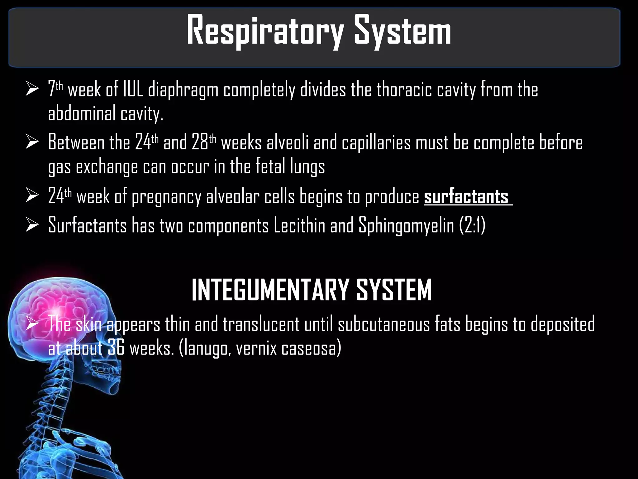 Respiratory System 7 th  week of IUL diaphragm completely divides the thoracic cavity from the abdominal cavity.  Between the 24 th  and 28 th  weeks alveoli and capillaries must be complete before gas exchange can occur in the fetal lungs  24 th  week of pregnancy alveolar cells begins to produce  surfactants  Surfactants has two components Lecithin and Sphingomyelin (2:1) INTEGUMENTARY SYSTEM The skin appears thin and translucent until subcutaneous fats begins to deposited at about 36 weeks. (lanugo, vernix caseosa) 