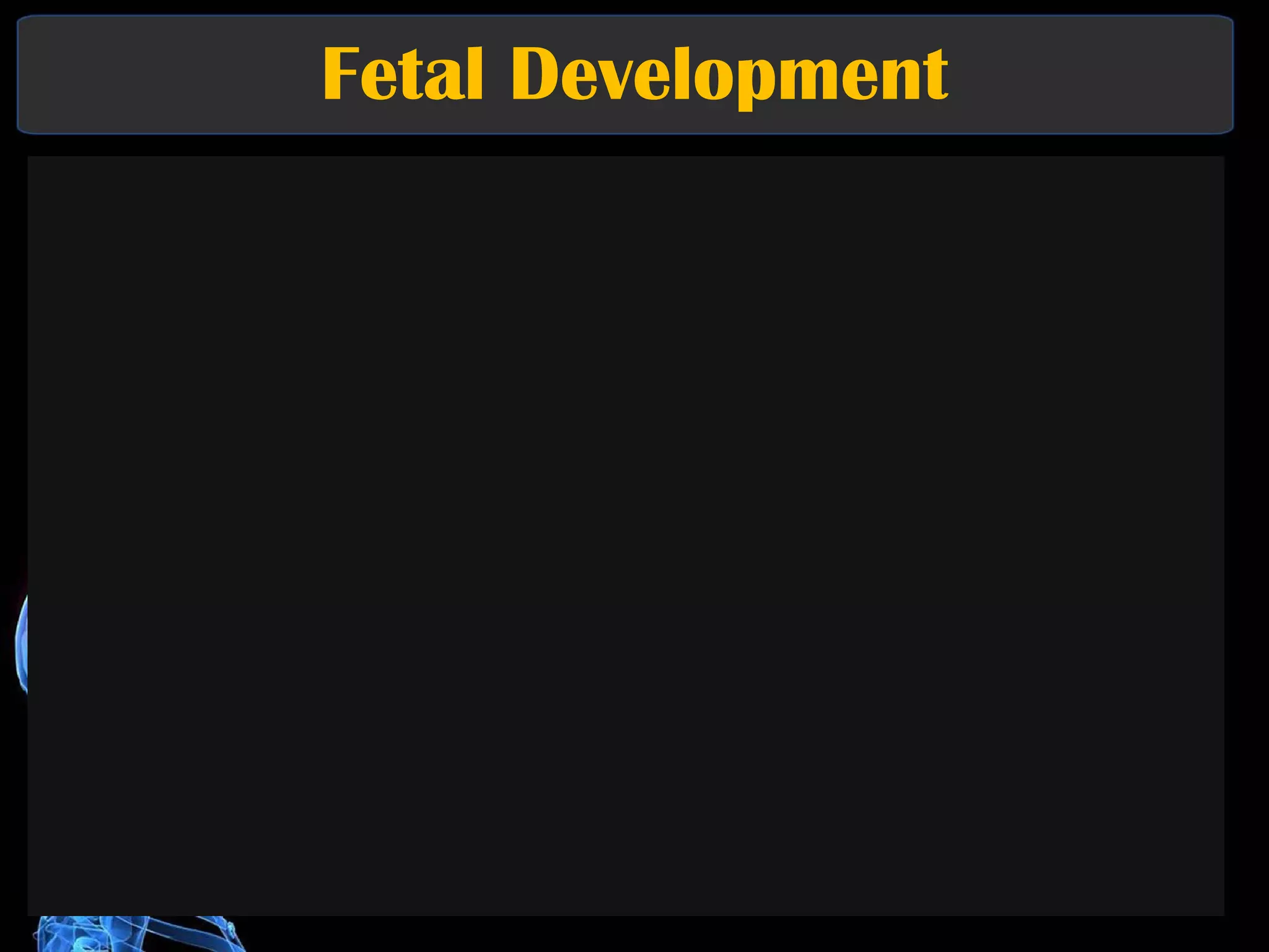Fetal Development 