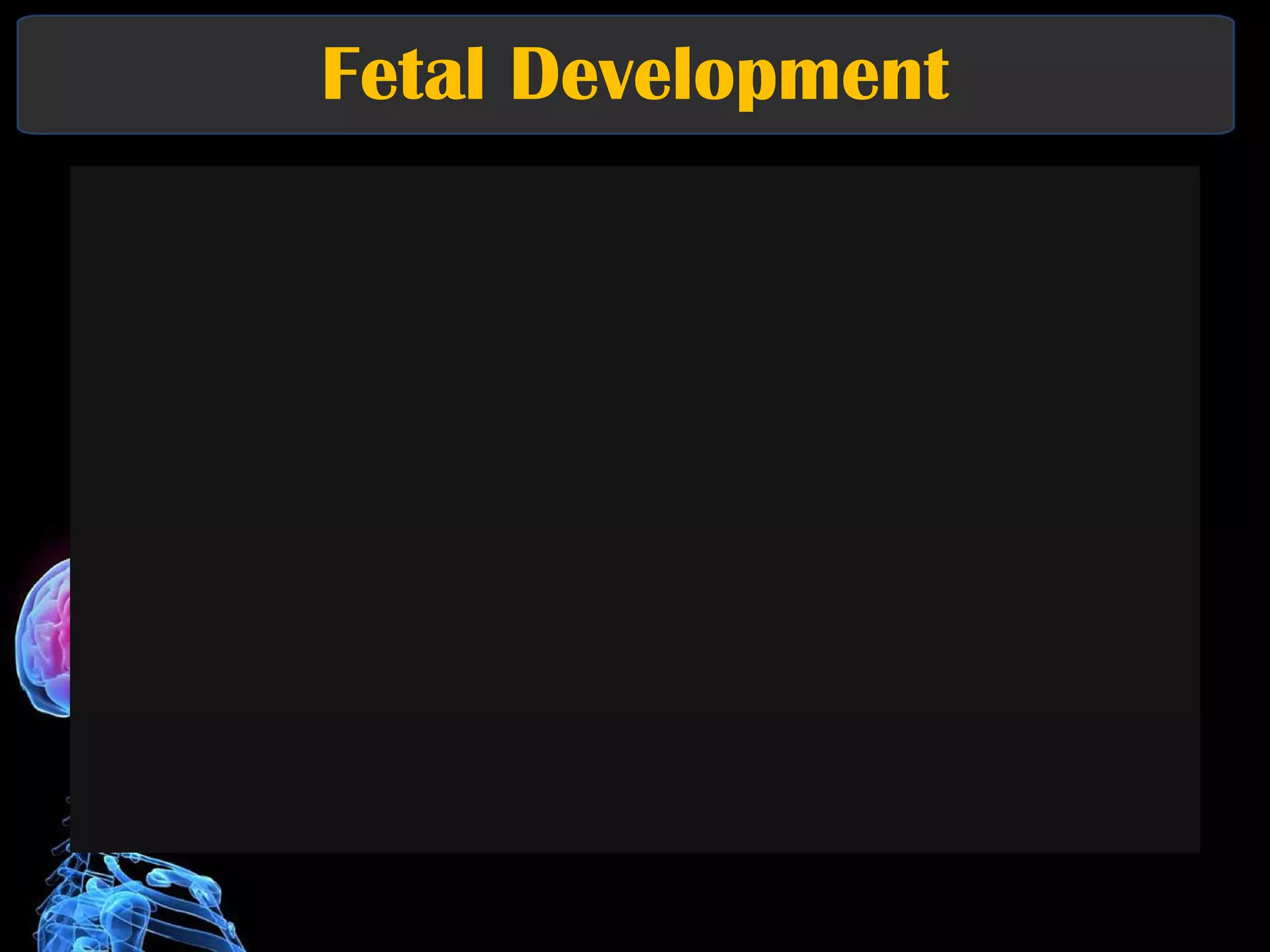 Fetal Development 