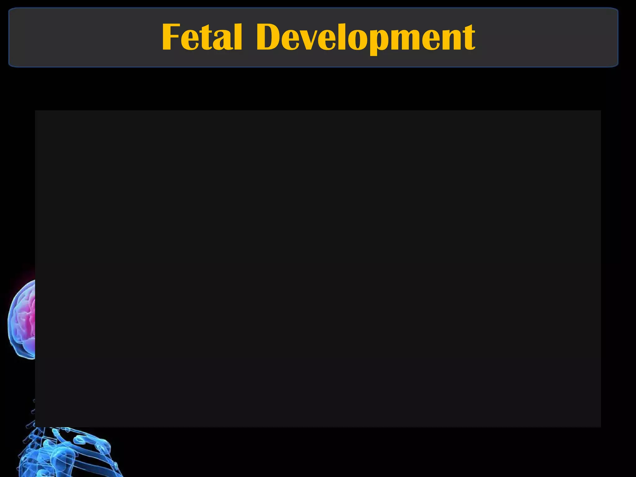 Fetal Development 