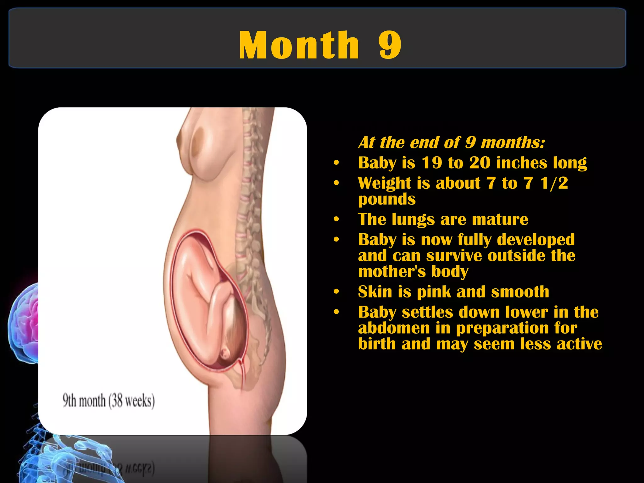 Month 9 Third Trimester At the end of 9 months:   Baby is 19 to 20 inches long  Weight is about 7 to 7 1/2 pounds  The lungs are mature  Baby is now fully developed and can survive outside the mother's body  Skin is pink and smooth  Baby settles down lower in the abdomen in preparation for birth and may seem less active 