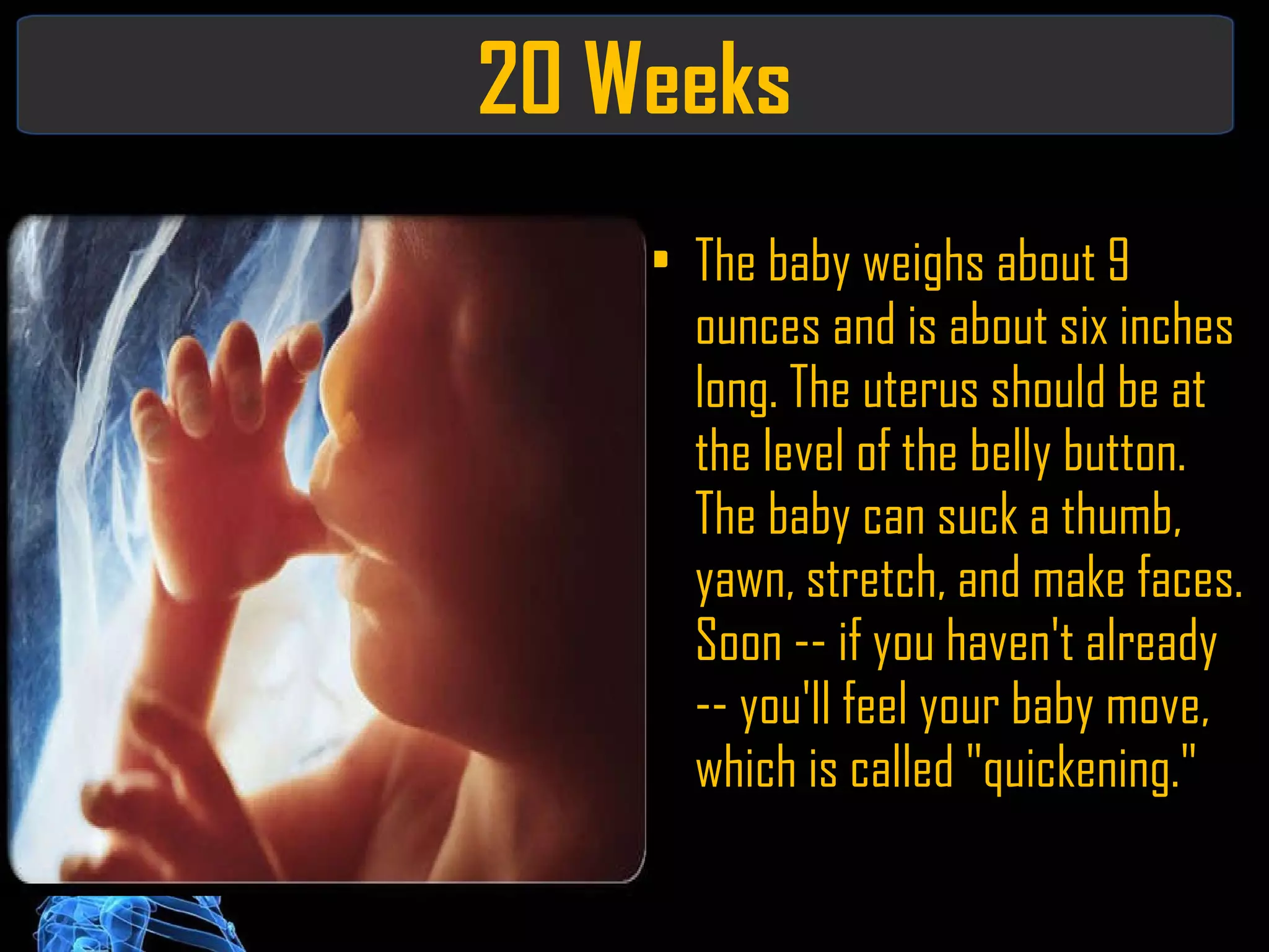 20 Weeks The baby weighs about 9 ounces and is about six inches long. The uterus should be at the level of the belly button. The baby can suck a thumb, yawn, stretch, and make faces. Soon -- if you haven't already -- you'll feel your baby move, which is called "quickening." 