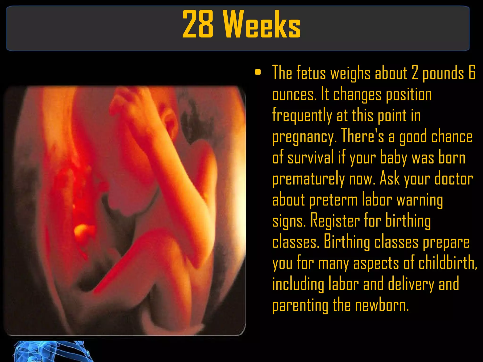 28 Weeks The fetus weighs about 2 pounds 6 ounces. It changes position frequently at this point in pregnancy. There's a good chance of survival if your baby was born prematurely now. Ask your doctor about preterm labor warning signs. Register for birthing classes. Birthing classes prepare you for many aspects of childbirth, including labor and delivery and parenting the newborn. 