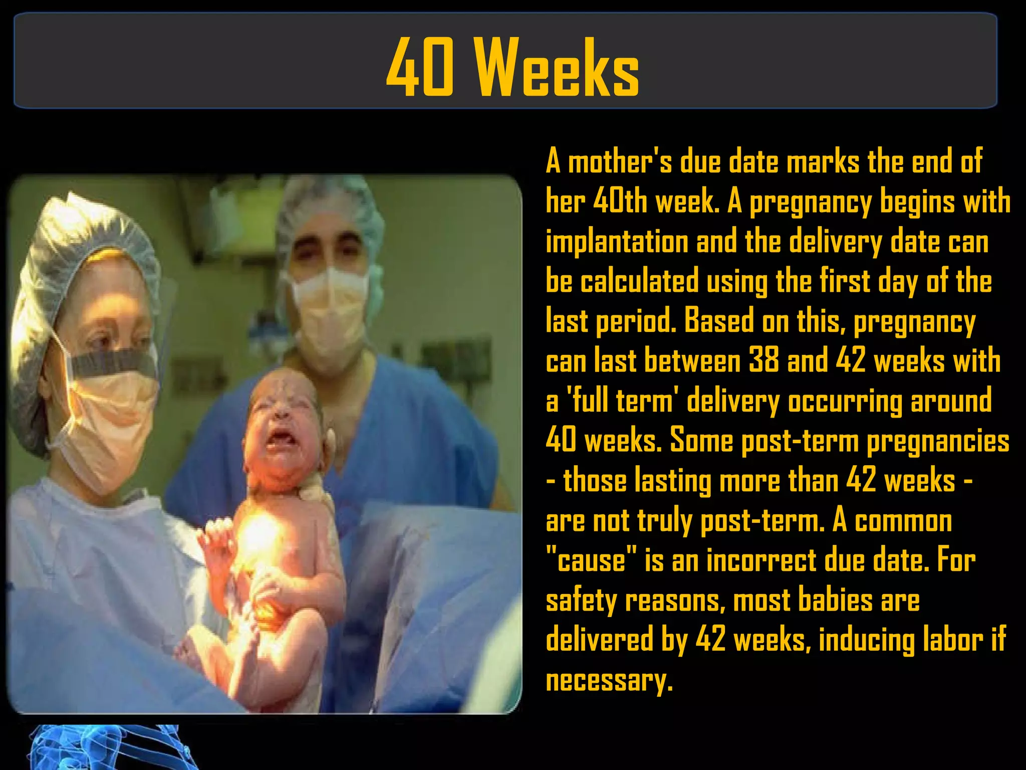40 Weeks A mother's due date marks the end of her 40th week. A pregnancy begins with implantation and the delivery date can be calculated using the first day of the last period. Based on this, pregnancy can last between 38 and 42 weeks with a 'full term' delivery occurring around 40 weeks. Some post-term pregnancies - those lasting more than 42 weeks - are not truly post-term. A common "cause" is an incorrect due date. For safety reasons, most babies are delivered by 42 weeks, inducing labor if necessary. 