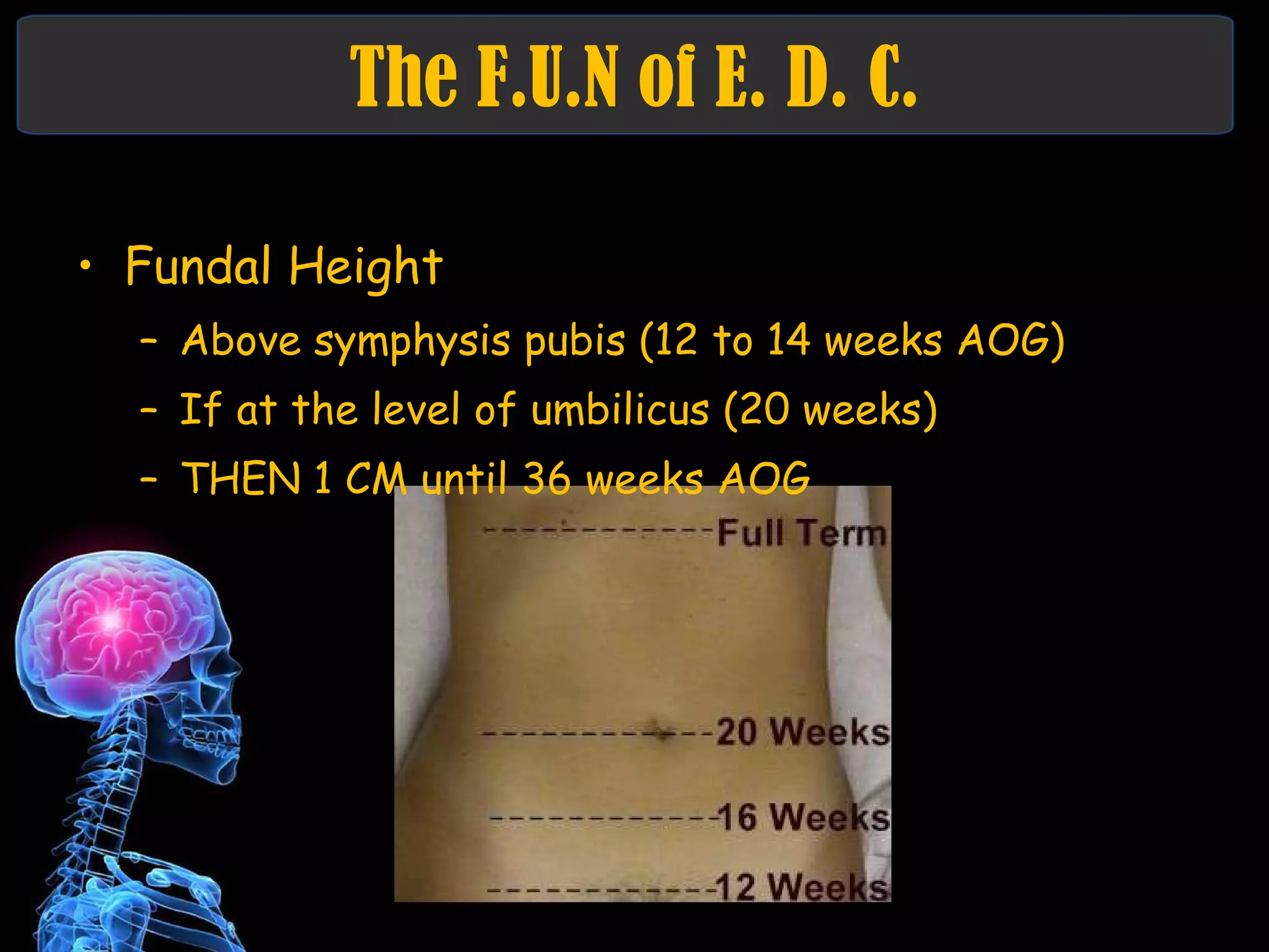 The F.U.N of E. D. C. Fundal Height Above symphysis pubis (12 to 14 weeks AOG) If at the level of umbilicus (20 weeks) THEN 1 CM until 36 weeks AOG 