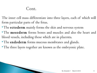 The inner cell mass differentiate into three layers, each of which will 
form particular parts of the fetus. 
The ectoderm mainly forms the skin and nervous system 
The mesoderm forms bones and muscles and also the heart and 
blood vessels, including those which are in placenta. 
The endoderm forms mucous membranes and glands. 
The three layers together are known as the embryonic plate. 
By Alemyehu T March 22-2014 11 
 
