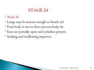 Week 26 
 Lungs may be mature enough to breath air! 
 Fetal body is two to three percent body fat. 
 Eyes are partially open and eyelashes present. 
 Sucking and swallowing improves. 
By Alemyehu T March 22-2014 119 
 