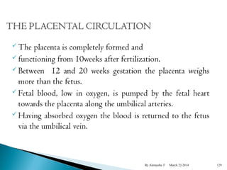 The placenta is completely formed and 
 functioning from 10weeks after fertilization. 
 Between 12 and 20 weeks gestation the placenta weighs 
more than the fetus. 
 Fetal blood, low in oxygen, is pumped by the fetal heart 
towards the placenta along the umbilical arteries. 
 Having absorbed oxygen the blood is returned to the fetus 
via the umbilical vein. 
By Alemyehu T March 22-2014 129 
 