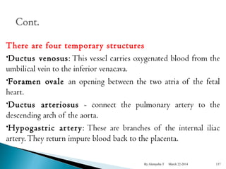 There are four temporar y structures 
•Ductus venosus: This vessel carries oxygenated blood from the 
umbilical vein to the inferior venacava. 
•Foramen ovale an opening between the two atria of the fetal 
heart. 
•Ductus ar teriosus - connect the pulmonary artery to the 
descending arch of the aorta. 
•Hypogastric ar tery : These are branches of the internal iliac 
artery. They return impure blood back to the placenta. 
By Alemyehu T March 22-2014 137 
 