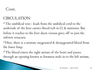 CIRCULATION 
The umbilical vein - leads from the umbilical cord to the 
underside of the liver carries blood rich in O2 & nutrients. But 
before it reaches to the liver ducts venous gives off to join the 
inferior venacava. 
Here, there is a mixture oxygenated & deoxygenated blood from 
the lower limp. 
The blood enters the right atrium of the heart and passes 
through an opening known as foramen ovale in to the left atrium. 
By Alemyehu T March 22-2014 138 
 