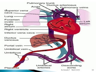 By Alemyehu T March 22-2014 142 
 