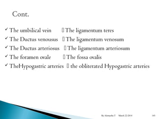 The umbilical vein  The ligamentum teres 
The Ductus venousus  The ligamentum venosum 
The Ductus arteriosus  The ligamentum arteriosum 
The foramen ovale  The fossa ovalis 
TheHypogastric arteries  the obliterated Hypogastric arteries 
By Alemyehu T March 22-2014 145 
 