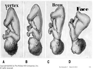 Face 
vertex Brow 
By Alemyehu T March 22-2014 
154 
 