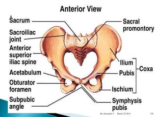 By Alemyehu T March 22-2014 158 
 