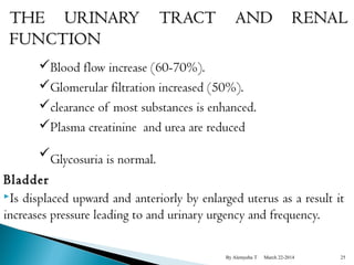 Blood flow increase (60-70%). 
Glomerular filtration increased (50%). 
clearance of most substances is enhanced. 
Plasma creatinine and urea are reduced 
Glycosuria is normal. 
Bladder 
Is displaced upward and anteriorly by enlarged uterus as a result it 
increases pressure leading to and urinary urgency and frequency. 
By Alemyehu T March 22-2014 25 
 
