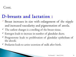 D-breasts and lactation : 
 Breast increases in size with enlargement of the nipple 
and increased vascularity and pigmentation of areola. 
 The earliest changes is a swelling of the breast tissue. 
 Estrogen leads to increase in number of glandular ducts. 
 Progesterone leads to proliferation of glandular epithelium of 
the alveoli. 
 Prolactin leads to active secretion of milk after birth. 
By Alemyehu T March 22-2014 30 
 