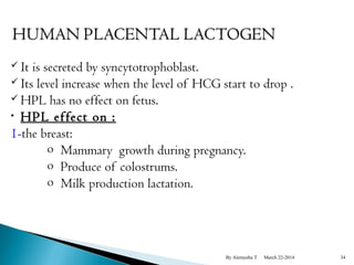  It is secreted by syncytotrophoblast. 
 Its level increase when the level of HCG start to drop . 
HPL has no effect on fetus. 
• HPL effect on : 
1-the breast: 
o Mammary growth during pregnancy. 
o Produce of colostrums. 
o Milk production lactation. 
By Alemyehu T March 22-2014 34 
 