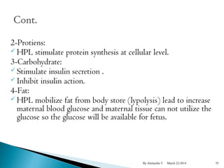 2-Protiens: 
HPL stimulate protein synthesis at cellular level. 
3-Carbohydrate: 
 Stimulate insulin secretion . 
 Inhibit insulin action. 
4-Fat: 
HPL mobilize fat from body store (lypolysis) lead to increase 
maternal blood glucose and maternal tissue can not utilize the 
glucose so the glucose will be available for fetus. 
By Alemyehu T March 22-2014 35 
 