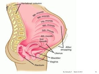 By Alemyehu T March 22-2014 56 
 