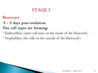Blastocyst 
•3 - 5 days post-ovulation 
Two cell types are forming: 
Embryoblast (inner cell mass on the inside of the blastocele) 
Trophoblast (the cells on the outside of the blastocele). 
By Alemyehu T March 22-2014 93 
 