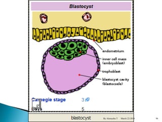 By Alemyehu T March 22-2014 96 
 