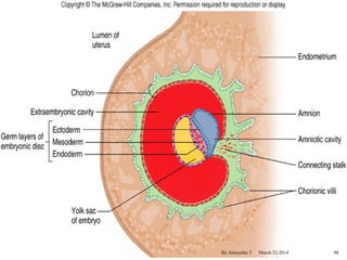 By Alemyehu T March 22-2014 98 
 
