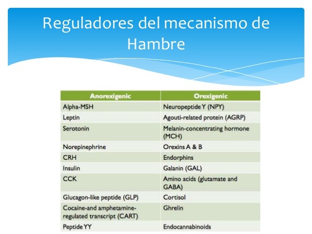 Farmacología Obesidad Farmacología Obesidad