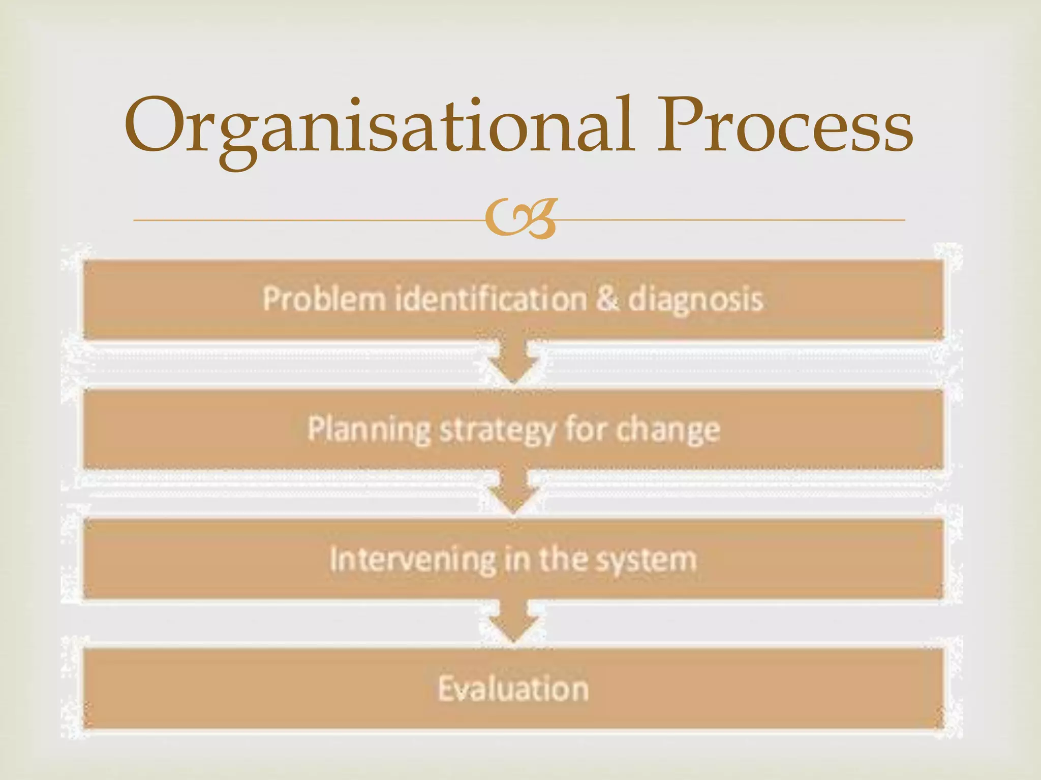 
Organisational Process