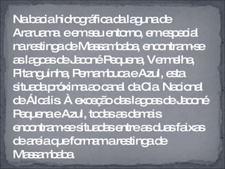 Na bacia hidrográfica da laguna de Araruama  e em seu entorno, em especial na restinga de Massambaba, encontram-se as lagoas de Jaconé Pequena, Vermelha, Pitanguinha, Pernambuca e Azul, esta situada próxima ao canal da Cia. Nacional de Álcalis. À exceção das lagoas de Jaconé Pequena e Azul, todas as demais encontram-se situadas entre as duas faixas de areia que formam a restinga de Massambaba. 