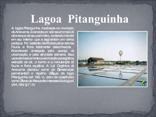 A lagoa Pitanguinha, localizada no município de Araruama, é cercada por salinas em mais de dois terços de seu perímetro, contendo marnéis em seu interior que a segmentam em vários pedaços. Foi bastante danificada pelas salinas. Fauna e flora totalmente desconhecida.  Encontra-se ameaçada pelo avanço da urbanização e pela atividade salineira. Seus usos são basicamente a valorização paisagística, extração de sal, o banho e a manutenção da fauna e flora aquática. A Lei Orgânica de Araruama declarou como de “preservação permanente” o espelho d’água da lagoa Pitanguinha (art 180, I), além de classificá-la como “Área de Relevante Interesse Ecológico” (Art. 180, § 1º, II) Lagoa  Pitanguinha 