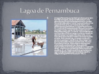    A lagoa Pernambuca, também em Araruama, tem formato alongado, sendo constituída por uma séria de pequenos bolsões separados por pontas. No canto leste está um canal que a conecta com a lagoa de Araruama, com cerca de 300m, com saída na praia dos Nobres. A lagoa Pernambuca foi muito danificada pelas salinas que lhe ocupam a margem norte, cujos marnéis a secionam em três partes desiguais. O marnel mais a leste serve como ponte unindo a margem norte a uma salina abandonada em processo de loteamento, ao sul. Os outros dois marnéis mostram árvores na parte emersa. Além de salinas, a margem norte vem sendo ocupada por residências. Já a margem sul tem dunas e está mais bem preservada. Fauna e flora desconhecida. Altamente ameaçada pela urbanização e pelas salinas. Seus usos são basicamente a valorização paisagística, a extração de sal, o banho e a manutenção da fauna e flora aquática. A Lei Orgânica de Araruama declarou como de “preservação permanente” o espelho d’água da lagoa Pernambuca (art 180, I). 