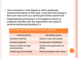 OB-CHAPTER-6 -PPT- Employee Attitudes and Their Effects.pptx
