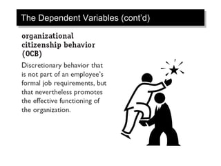 The Dependent Variables (cont’d)
 