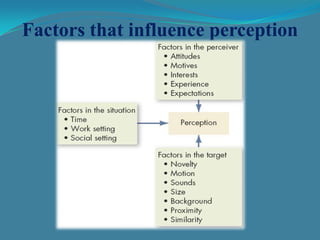 Ob factor affecting perception ppt | PPTX