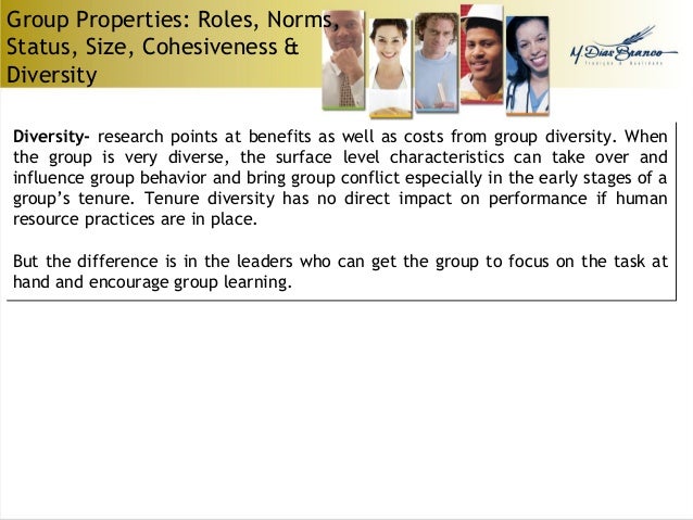 Group Properties Roles Norms Status Size Cohesiveness And Diversity Group Properties Roles Norms Status Size Cohesiveness And Diversity