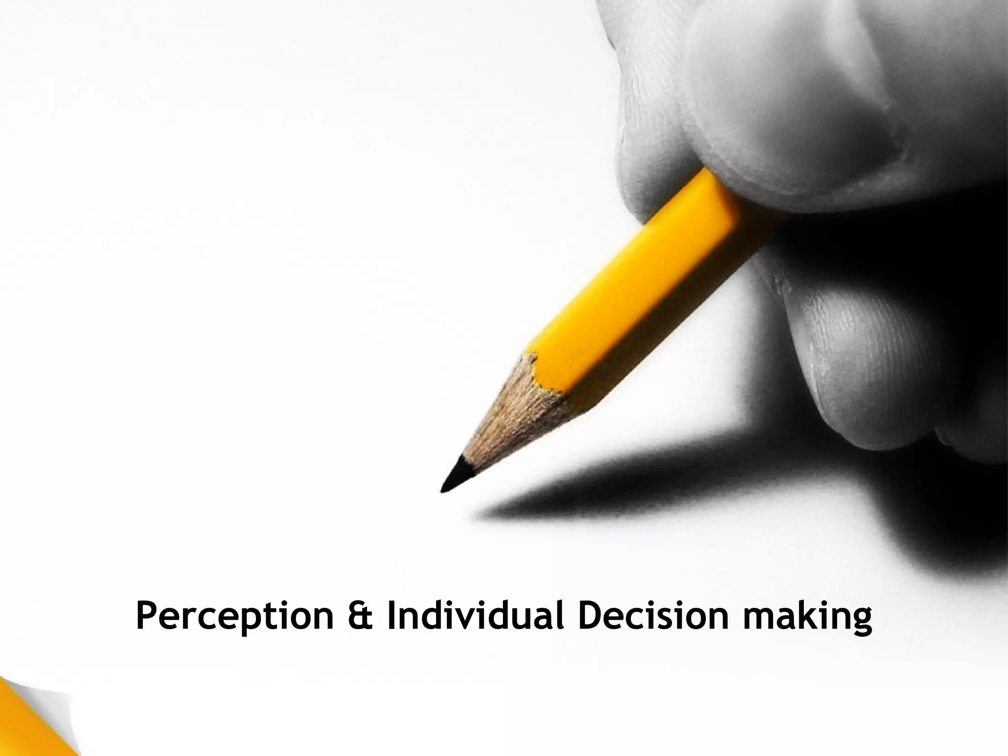 Perception & Individual Decision making 
 