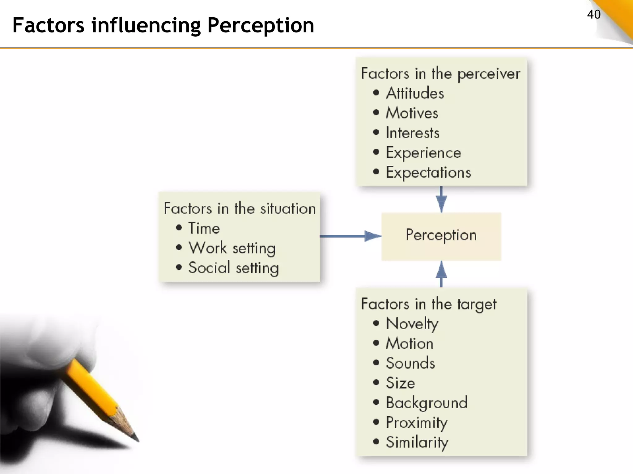 40 Factors influencing Perception 
 