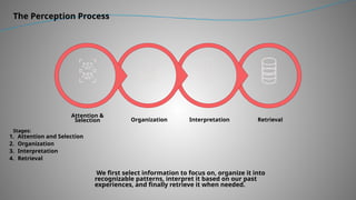 The Perception Process
Retrieval
Interpretation
Organization
Attention &
Selection
Stages:
1. Attention and Selection
2. Organization
3. Interpretation
4. Retrieval
We first select information to focus on, organize it into
recognizable patterns, interpret it based on our past
experiences, and finally retrieve it when needed.
 