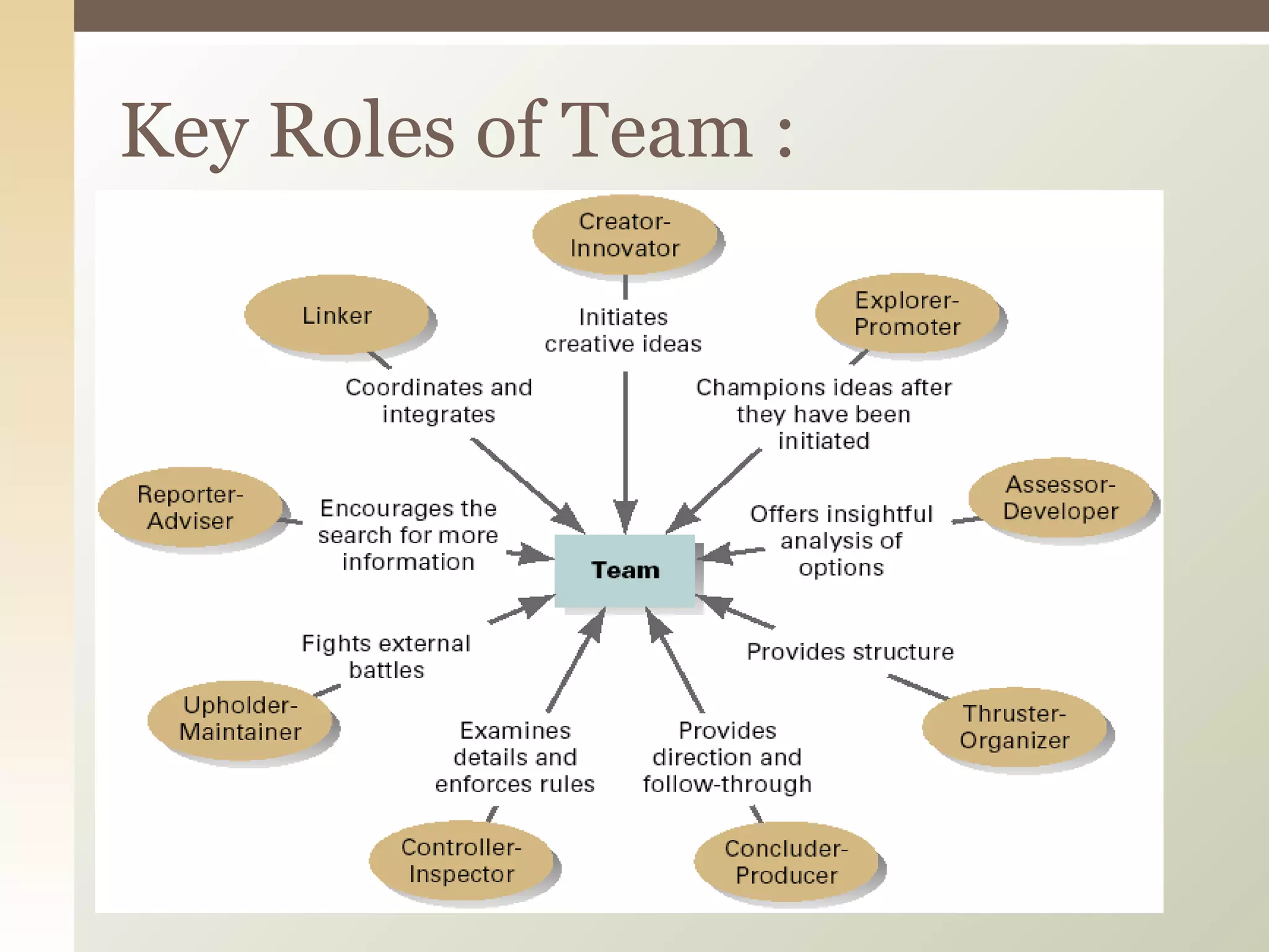 Key Roles of Team : 