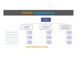 Matrix Organization
Matrix Organizational Structure
 