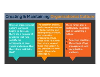 Once an organizational
culture starts and
begins to develop,
there are a number of
practices that help
solidify the
acceptance of core
values and ensure that
the culture maintains
itself.
Creating & Maintaining Organizational Culture
The selection process,
performance evaluation
criteria, training and
development activities,
and promotion
procedures ensure
those hired fit in with
the culture, reward
those who support it,
and penalize - or even
expel - those who
challenge it.
Three forces play a
particularly important
part in sustaining a
culture:
1. Selection practices,
2. the actions of top
management, and
3. socialization
methods.
 