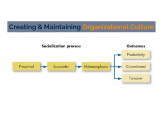 Creating & Maintaining Organizational Culture
 