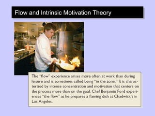 Flow and Intrinsic Motivation Theory 
