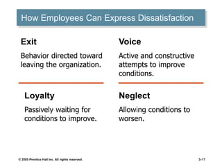 © 2005 Prentice Hall Inc. All rights reserved. 3–17
How Employees Can Express Dissatisfaction
Exit
Behavior directed toward
leaving the organization.
Voice
Active and constructive
attempts to improve
conditions.
Neglect
Allowing conditions to
worsen.
Loyalty
Passively waiting for
conditions to improve.
 