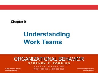 Chapter 9



                            Understanding
                            Work Teams

              ORGANIZATIONAL BEHAVIOR
                             S T E P H E N P. R O B B I N S
                                 E L E V E N T H   E D I T I O N
© 2005 Prentice Hall Inc.        WWW.PRENHALL.COM/ROBBINS          PowerPoint Presentation
All rights reserved.                                                      by Charlie Cook
 
