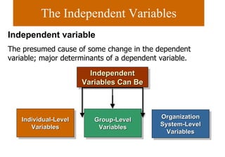 The Independent Variables Independent Variables Can Be Independent variable The presumed cause of some change in the dependent variable; major determinants of a dependent variable.  Individual-Level Variables Organization System-Level Variables Group-Level Variables 