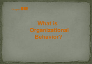 Chapter   ONE   What is Organizational Behavior?  